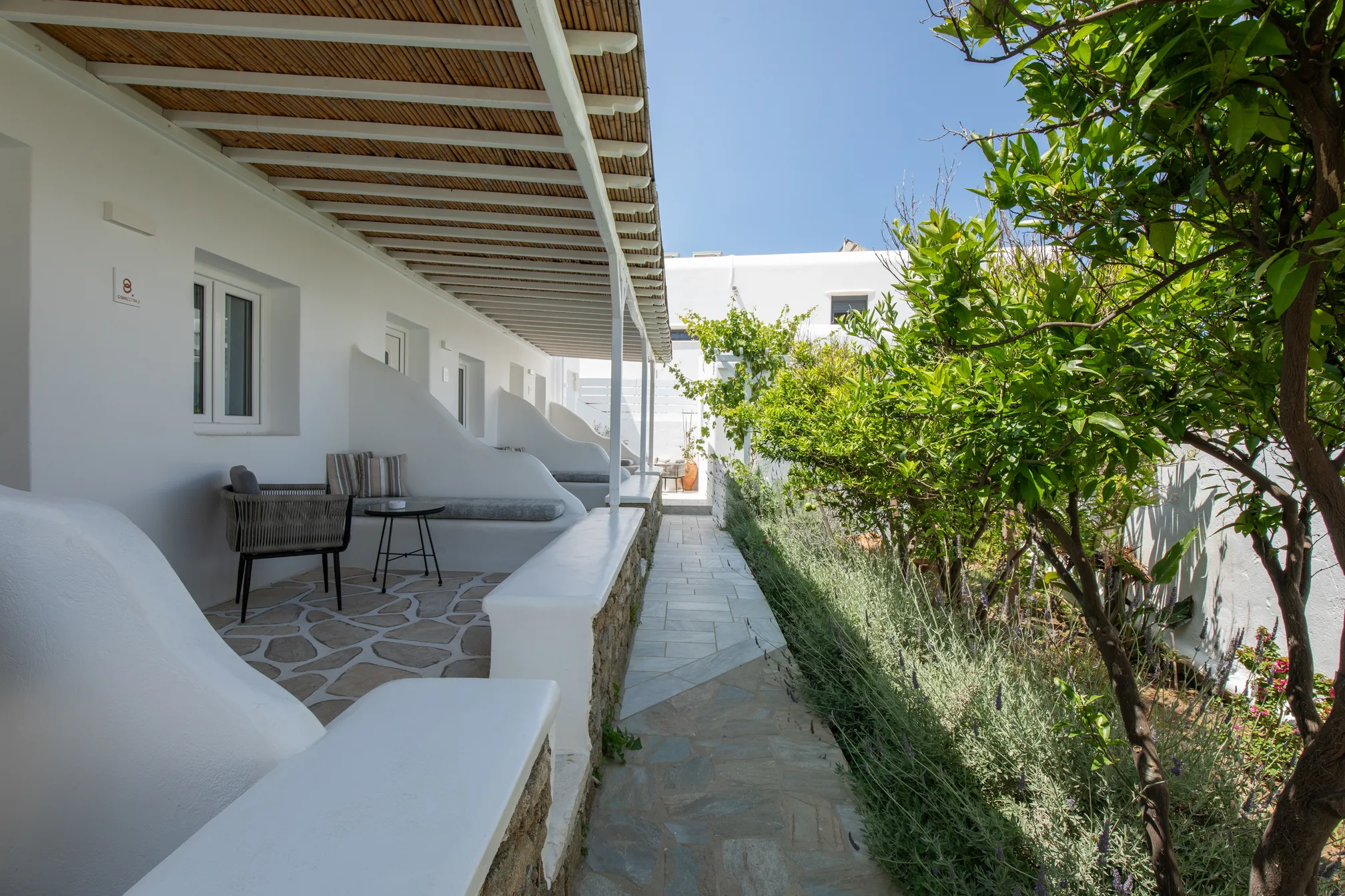 Pergola walkway along the rooms with citrus trees